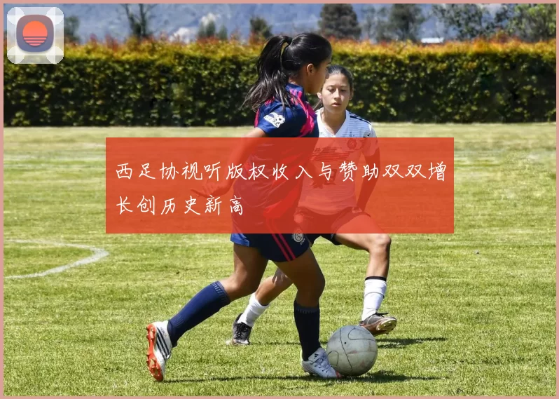 西足协视听版权收入与赞助双双增长创历史新高